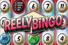 recommended games - reely bingo Miami Dice Casino - online casinos