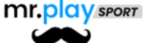 Mr.Playsport